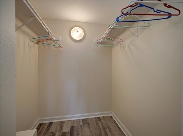 walk in closet featuring hardwood / wood-style floors