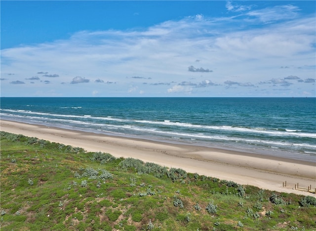 water view featuring a beach view