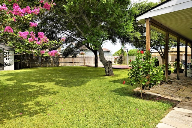 view of yard featuring a patio