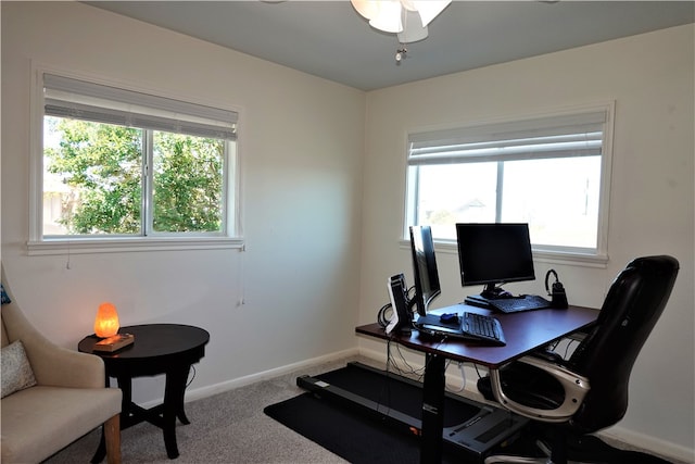 office area with carpet flooring, ceiling fan, and plenty of natural light