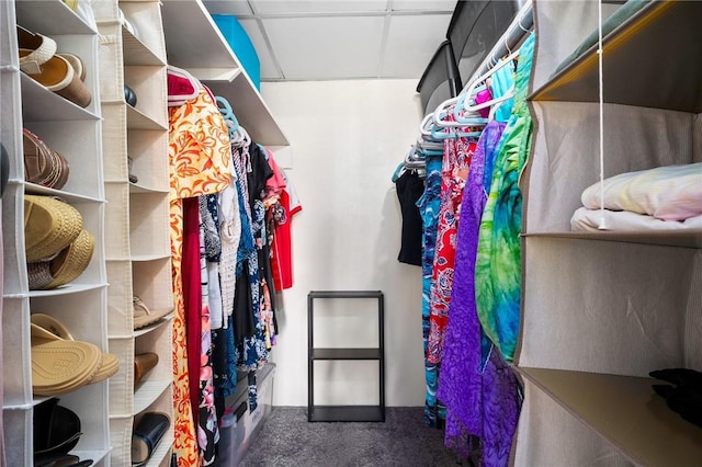715 S Upper Broadway St Unit 404, Corpus Christi, TX 78401 - spacious closet with carpet