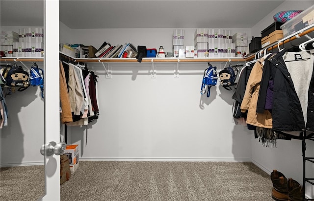 walk in closet with carpet