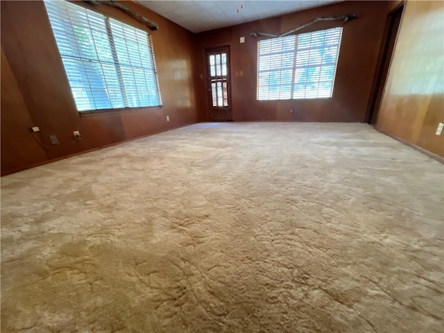 carpeted spare room with wooden walls