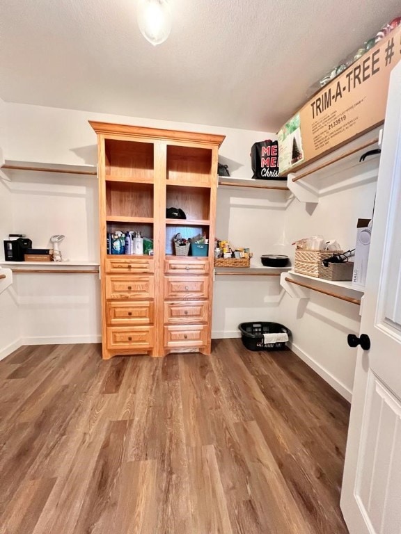 spacious closet featuring wood-type flooring