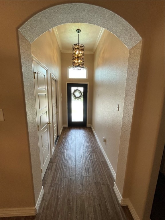 doorway featuring dark wood-type flooring and crown molding