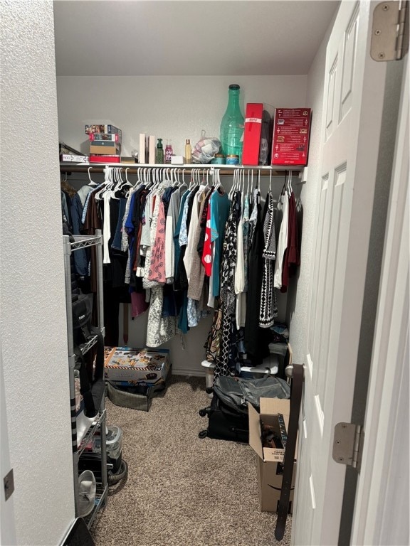 spacious closet featuring carpet flooring