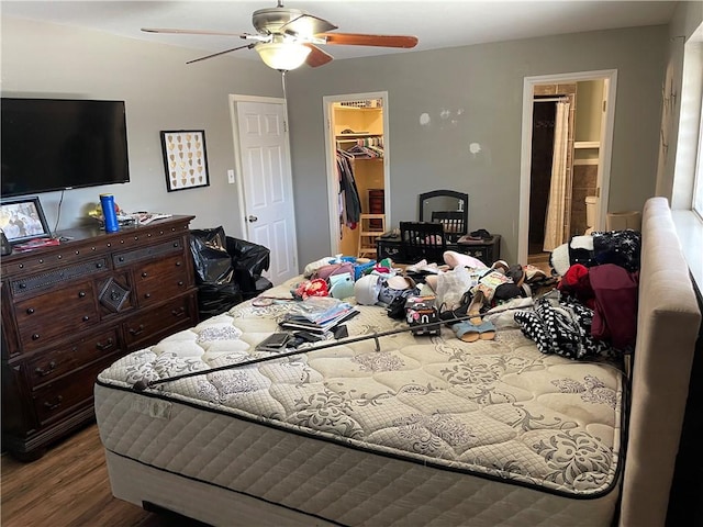 bedroom with a closet, a walk in closet, a ceiling fan, and wood finished floors