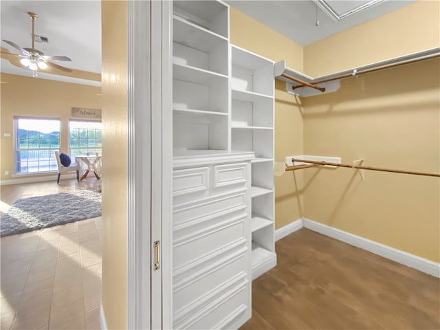 walk in closet with hardwood / wood-style floors and ceiling fan