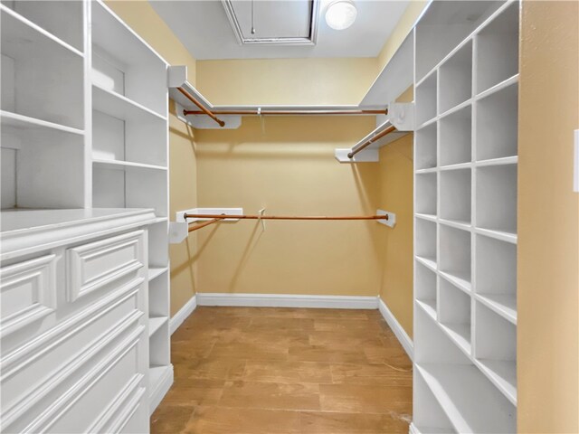 walk in closet with hardwood / wood-style floors