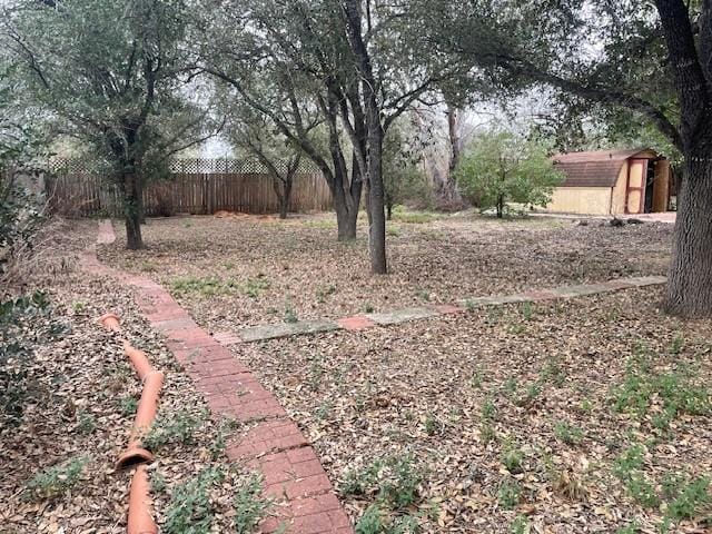 view of yard with a storage shed