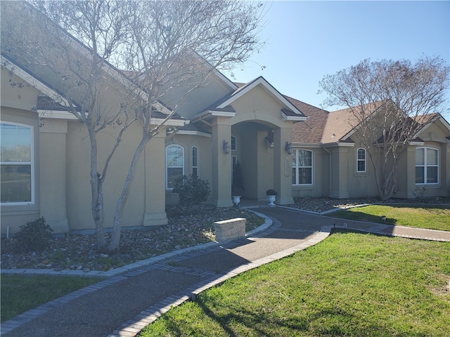 ranch-style house with a front yard