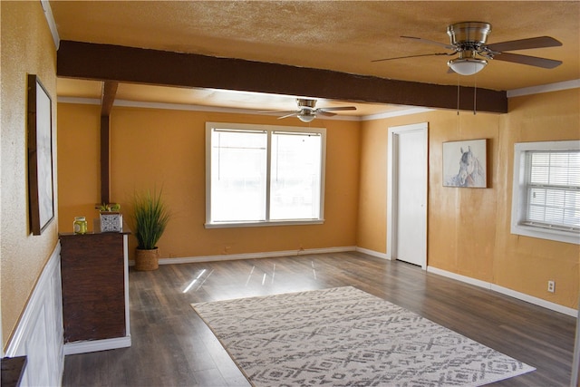 interior space featuring a wealth of natural light, beamed ceiling, ceiling fan, and dark hardwood / wood-style flooring