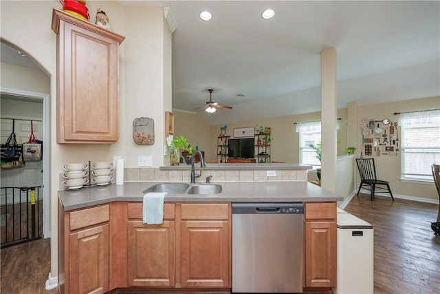 6005 Tapestry Dr, Corpus Christi, TX 78414 - kitchen with stainless steel dishwasher, a sink, ceiling fan, dark wood-style flooring, and lofted ceiling