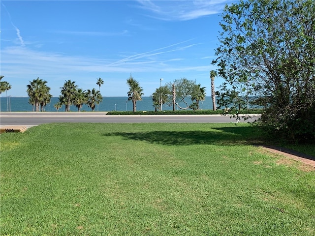 view of yard with a water view