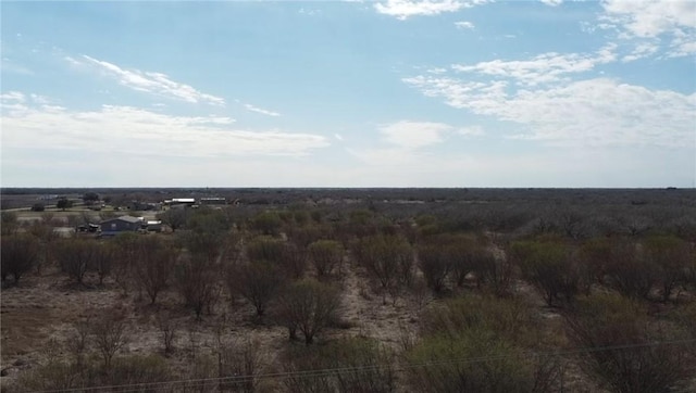 view of local wilderness