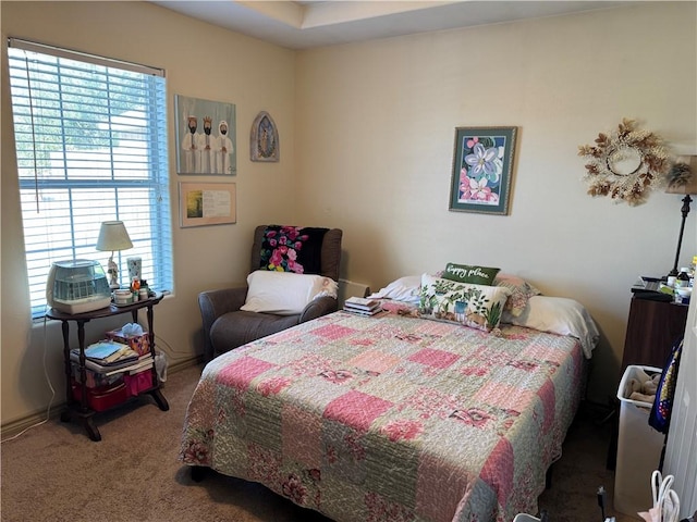 bedroom with carpet