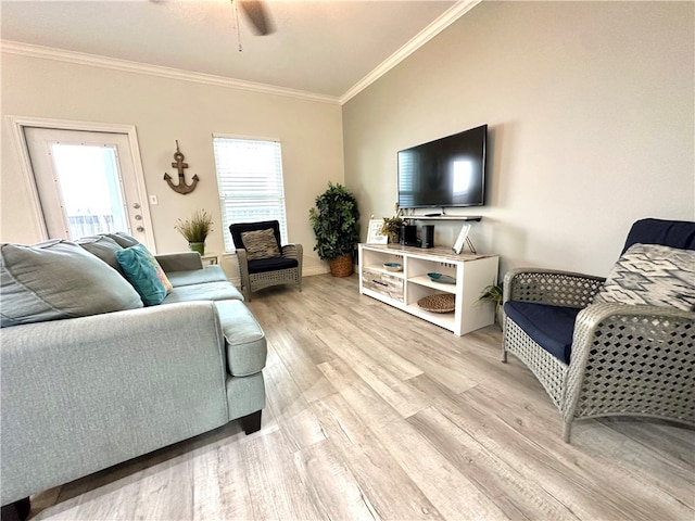 living room with ceiling fan, light wood-type flooring, and crown molding