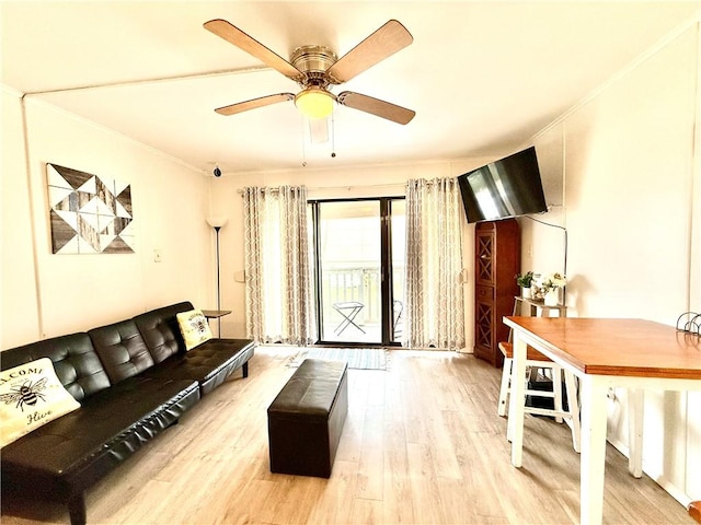 living room featuring light hardwood / wood-style floors, ceiling fan, and crown molding