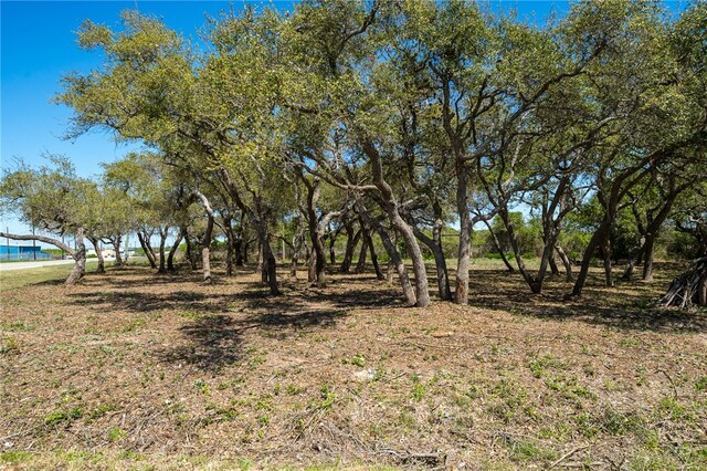 Listing photo 2 for LOT21 Vineyard St, Ingleside TX 78362