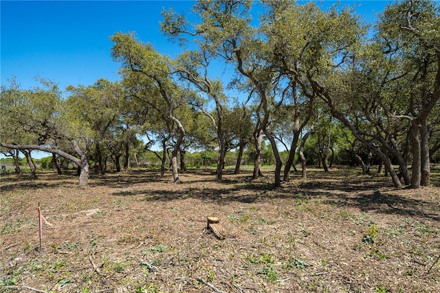 Listing photo 3 for LOT21 Vineyard St, Ingleside TX 78362