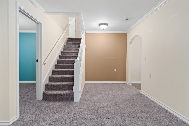 stairs featuring carpet floors and ornamental molding