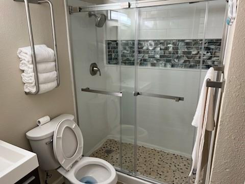 bathroom featuring toilet, a stall shower, and vanity