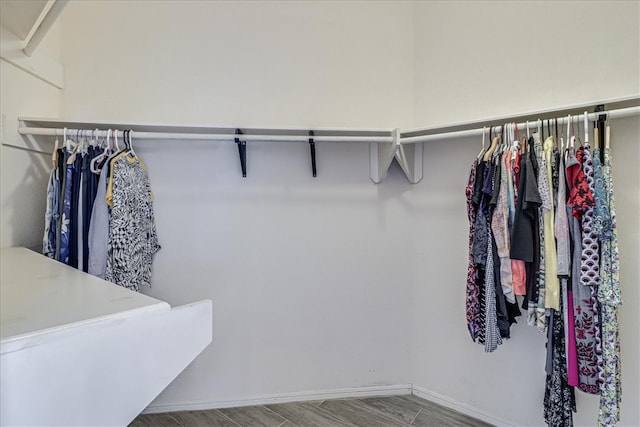 walk in closet with wood-type flooring