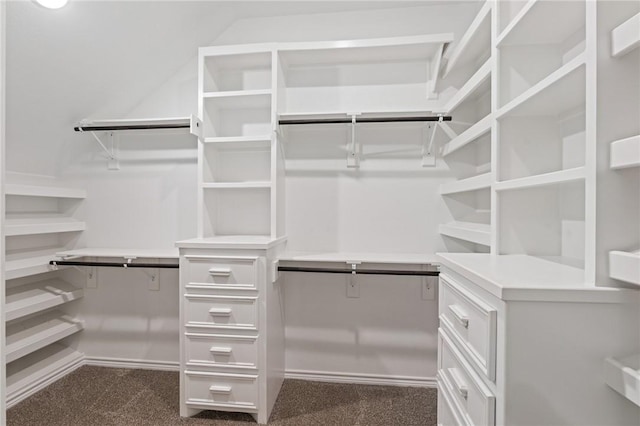 spacious closet with dark carpet