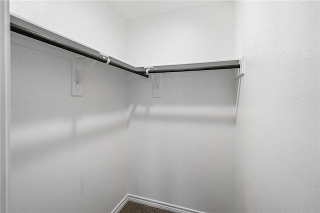 spacious closet featuring carpet floors