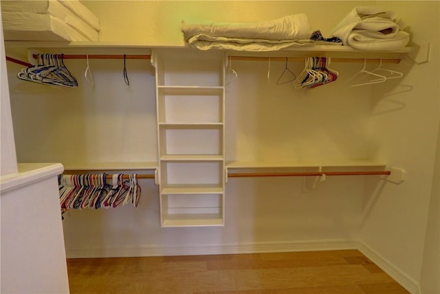 walk in closet featuring wood finished floors