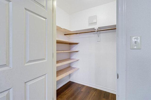 walk in closet featuring dark wood-type flooring