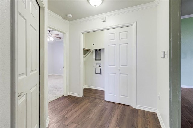 hall with dark hardwood / wood-style flooring and ornamental molding