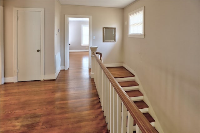 corridor featuring hardwood / wood-style floors