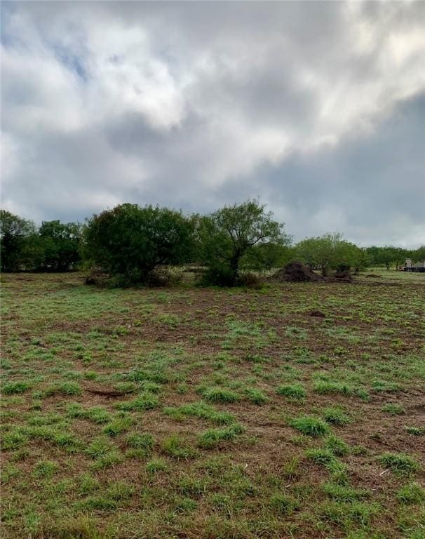 197 County Road 1171, Alice, TX 78332 - photo 6
