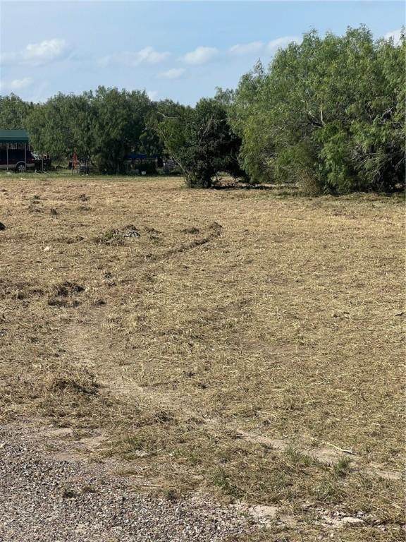 197 County Road 1171, Alice, TX 78332 - photo 4