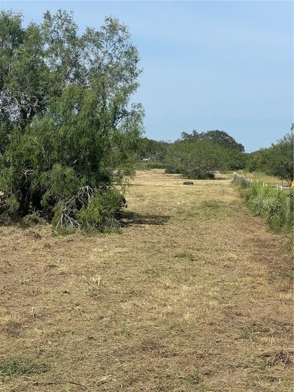 197 County Road 1171, Alice, TX 78332 - photo 1