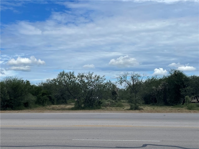 Listing photo 3 for 7379 S State Highway 181, Skidmore TX 78389