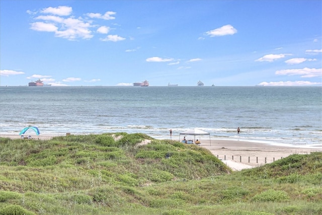 water view with a view of the beach