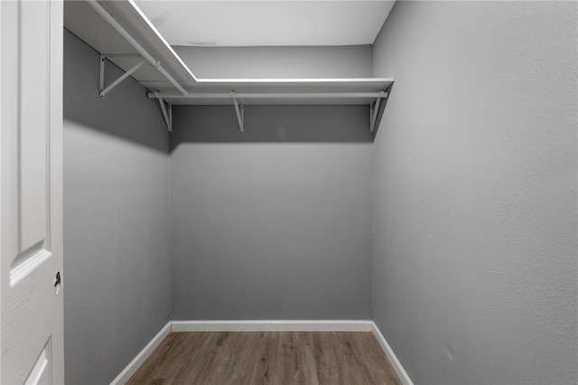 spacious closet featuring hardwood / wood-style flooring