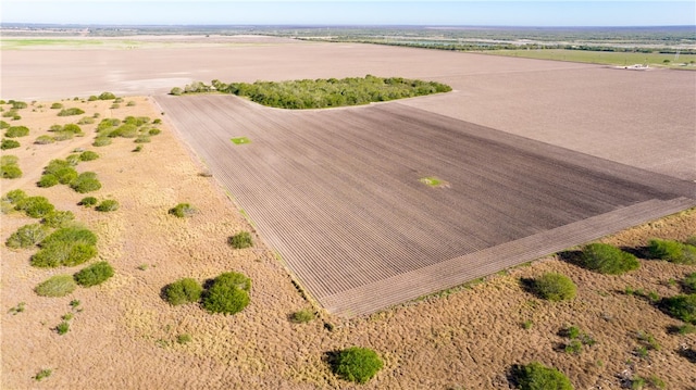 FM1118 N Fm 1118, Kingsville TX, 78363 land for sale