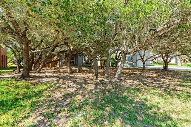 110 Forest Hls, Rockport, TX 78382 - view of yard