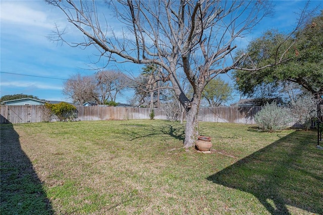 view of yard featuring a fenced backyard