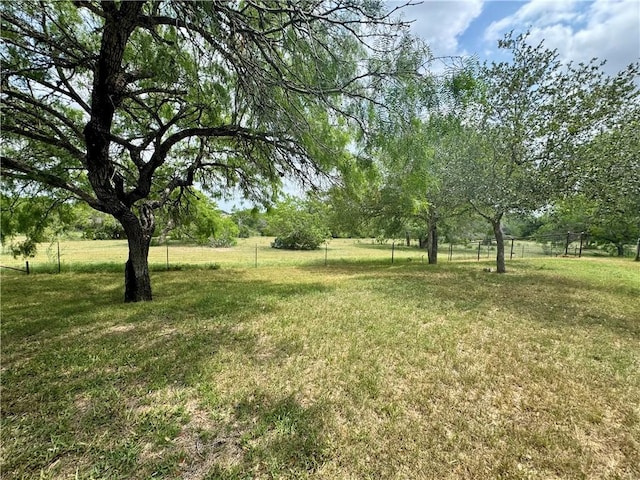 571 Fm 799, George West, TX 78022 - photo 31