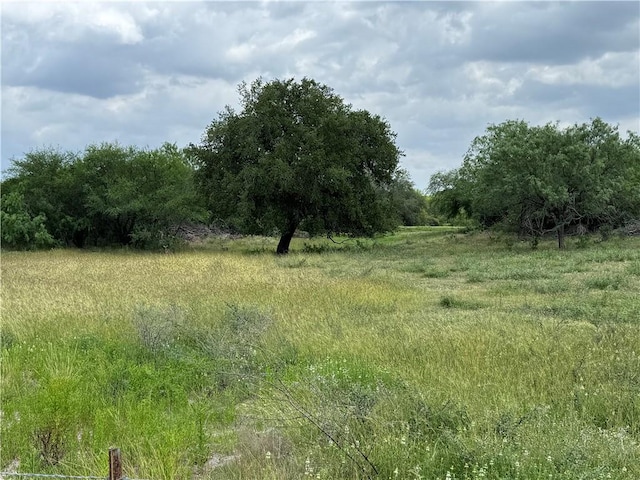 571 Fm 799, George West, TX 78022 - photo 29