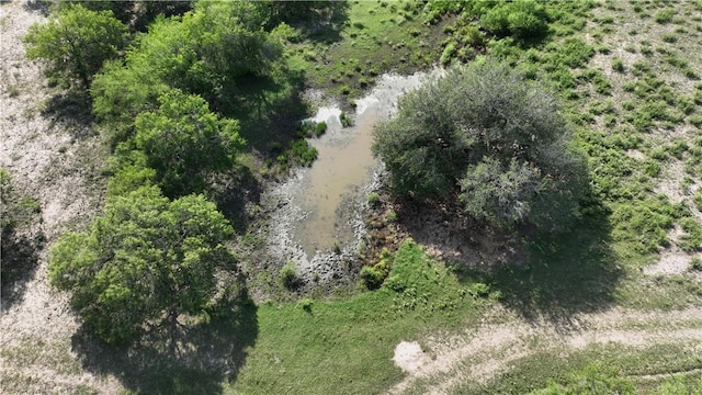 571 Fm 799, George West, TX 78022 - photo 10