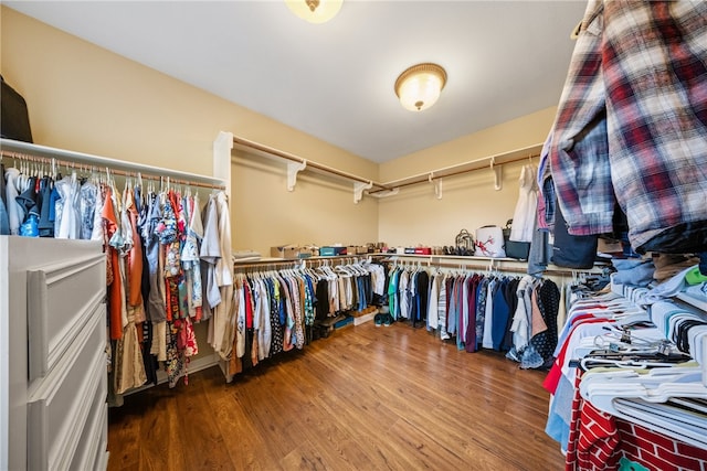 6001 King Trl, Corpus Christi, TX 78414 - spacious closet with wood finished floors
