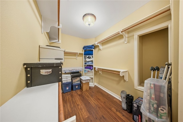 6001 King Trl, Corpus Christi, TX 78414 - walk in closet featuring dark wood-type flooring