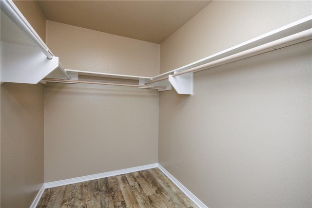 spacious closet featuring hardwood / wood-style flooring