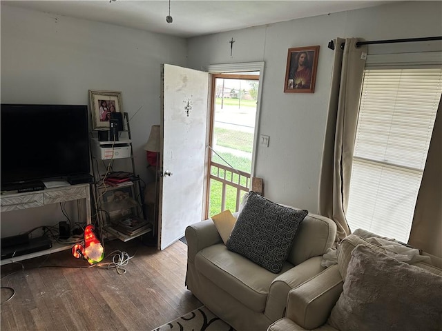 living room featuring hardwood / wood-style floors