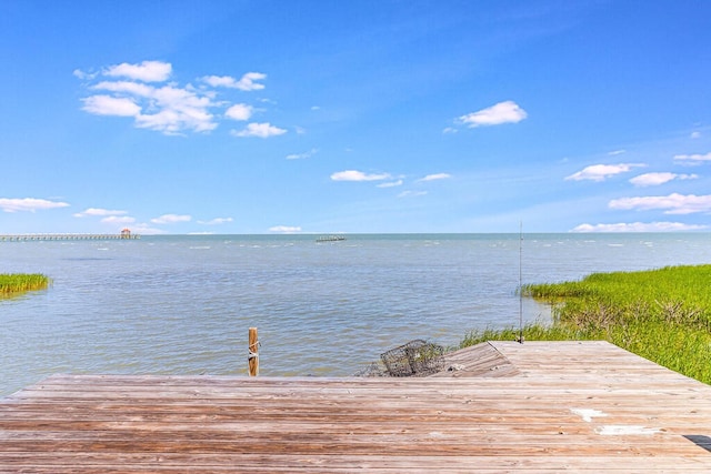 dock area featuring a water view